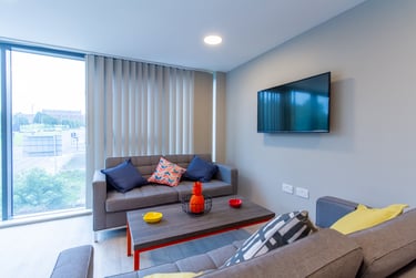 Block A Sky Lounge Level Silver En Suite - Image 4